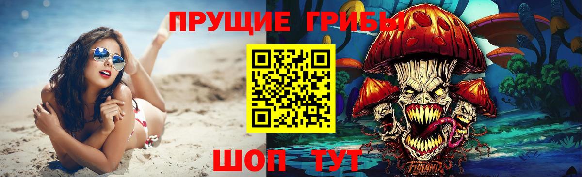 что такое наркотик  Вход с VPN  Азов  Псилоцибиновые грибы GOLDEN TEACHER 